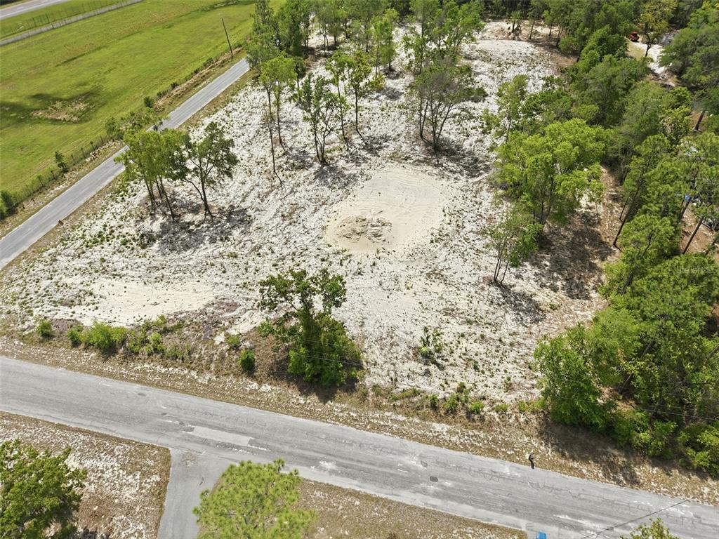 14235 Carolina Dove Road Weeki Wachee, FL 34614 - Photo 5 of 10