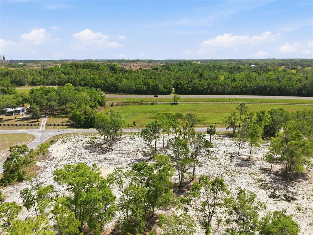 14235 Carolina Dove Road Weeki Wachee, FL 34614 - Photo 6 of 10