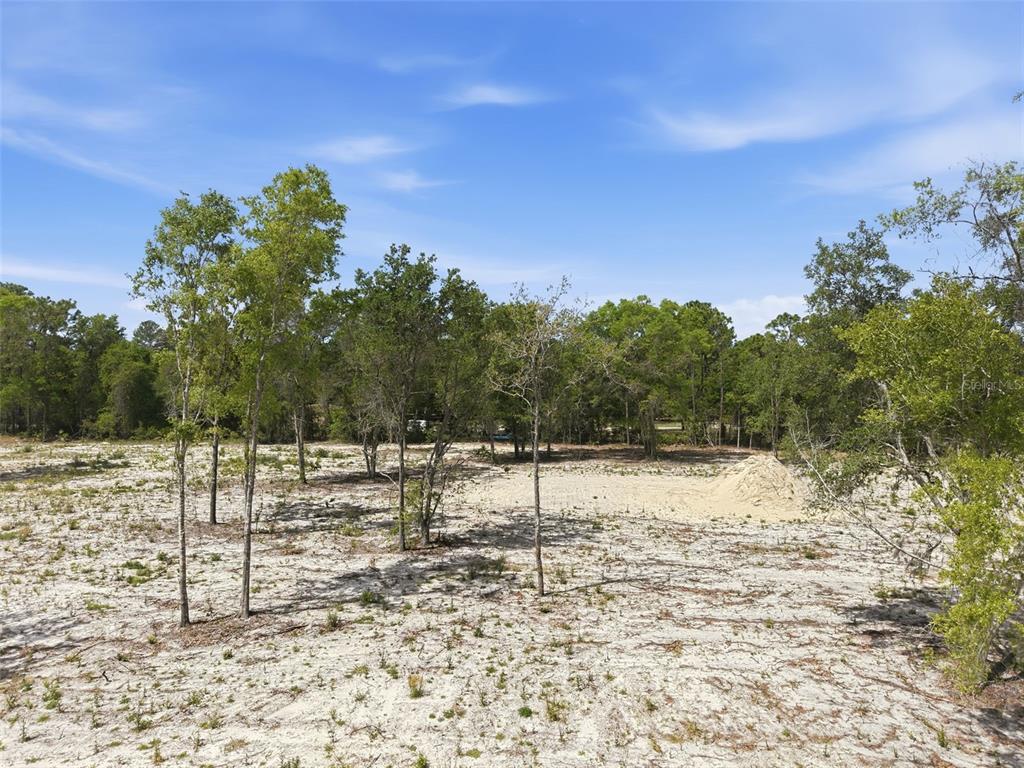 14235 Carolina Dove Road Weeki Wachee, FL 34614 - Photo 8 of 10