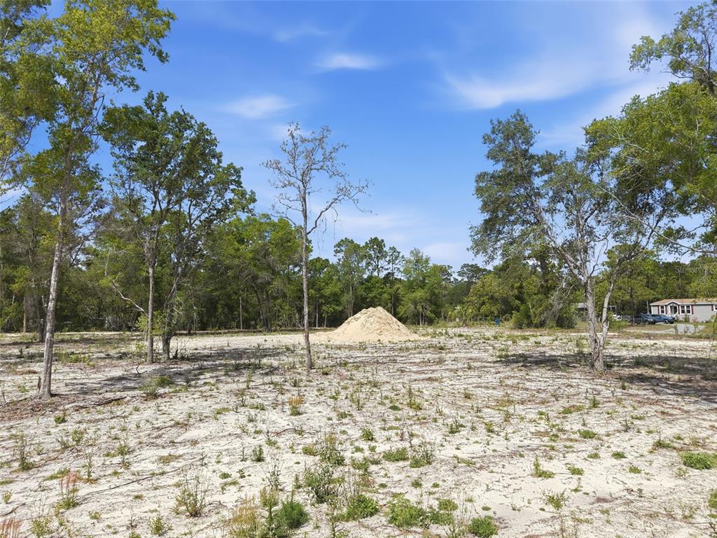 14235 Carolina Dove Road Weeki Wachee, FL 34614 - Photo 9 of 10