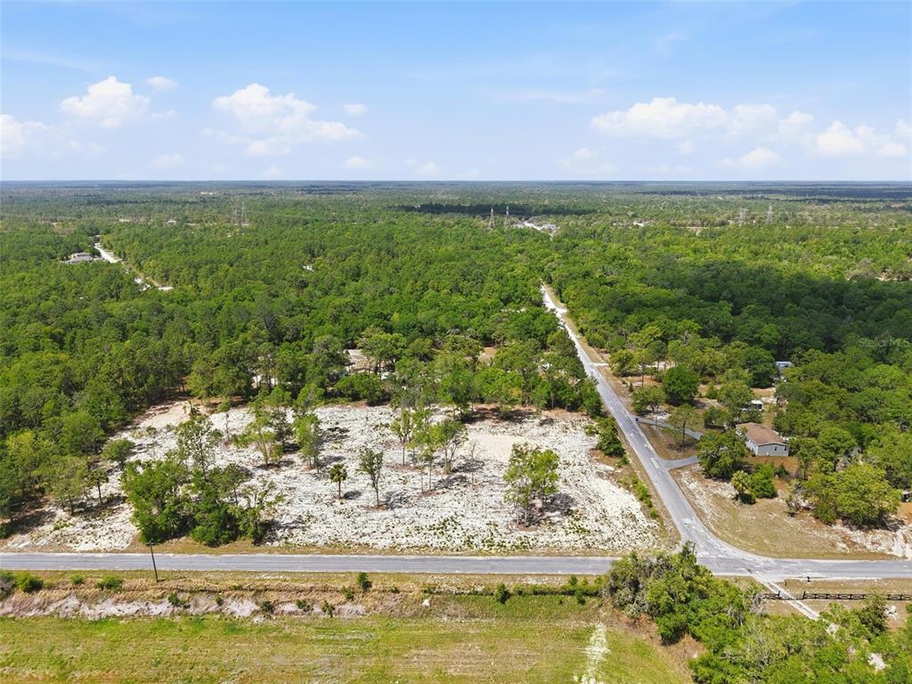 14235 Carolina Dove Road Weeki Wachee, FL 34614 - Photo 10 of 10