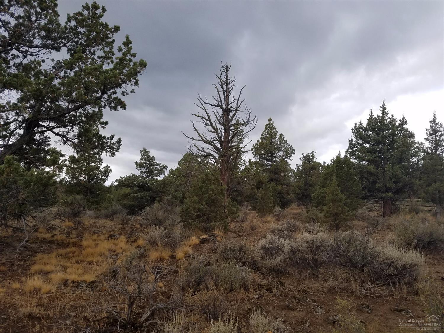 61811 Ten Barr Ranch Road Bend, OR 97701 - Photo 4 of 5 Additional Photo