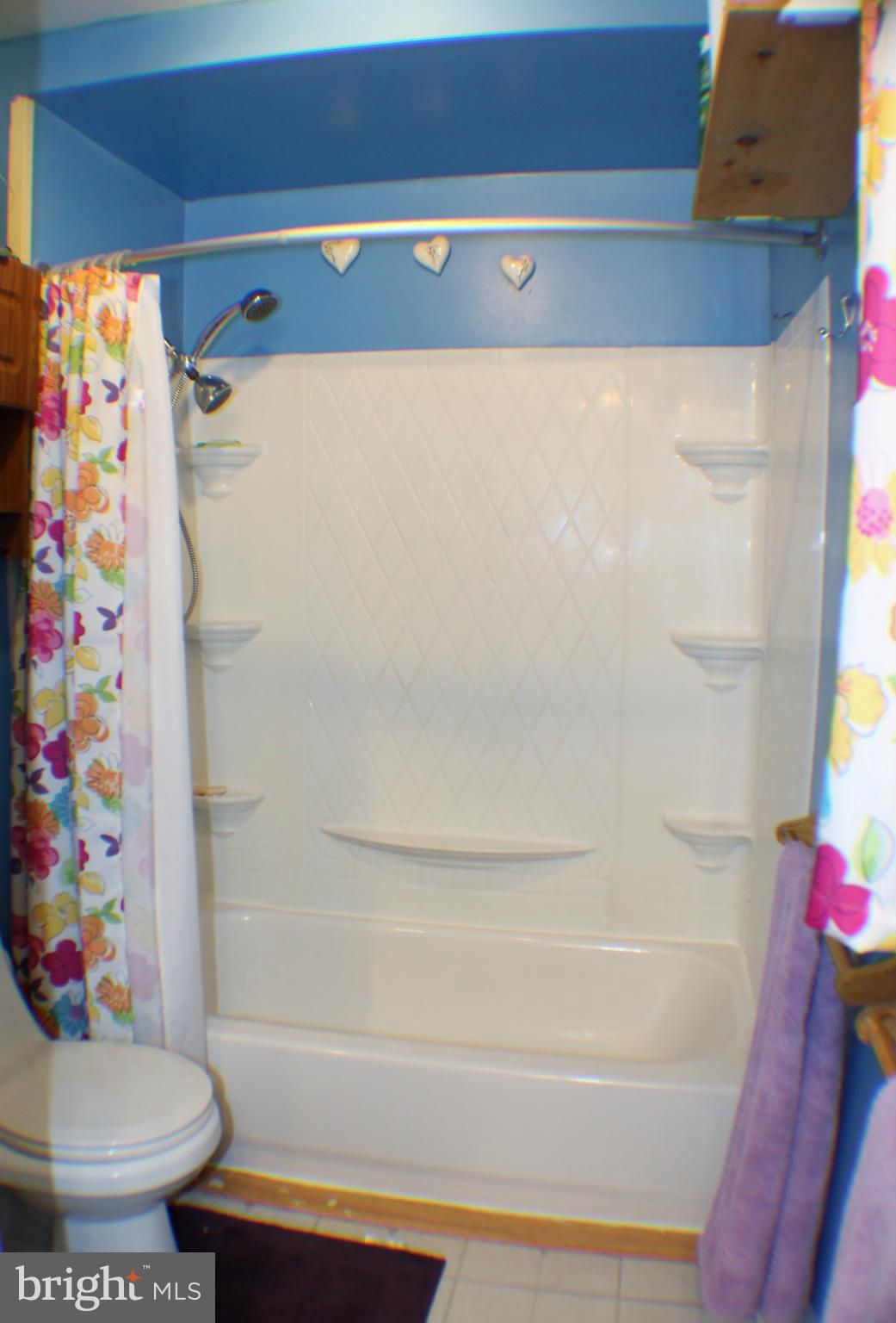 8500 Frederick Road Ellicott City, MD 21043 - Photo 14 of 23 Bath