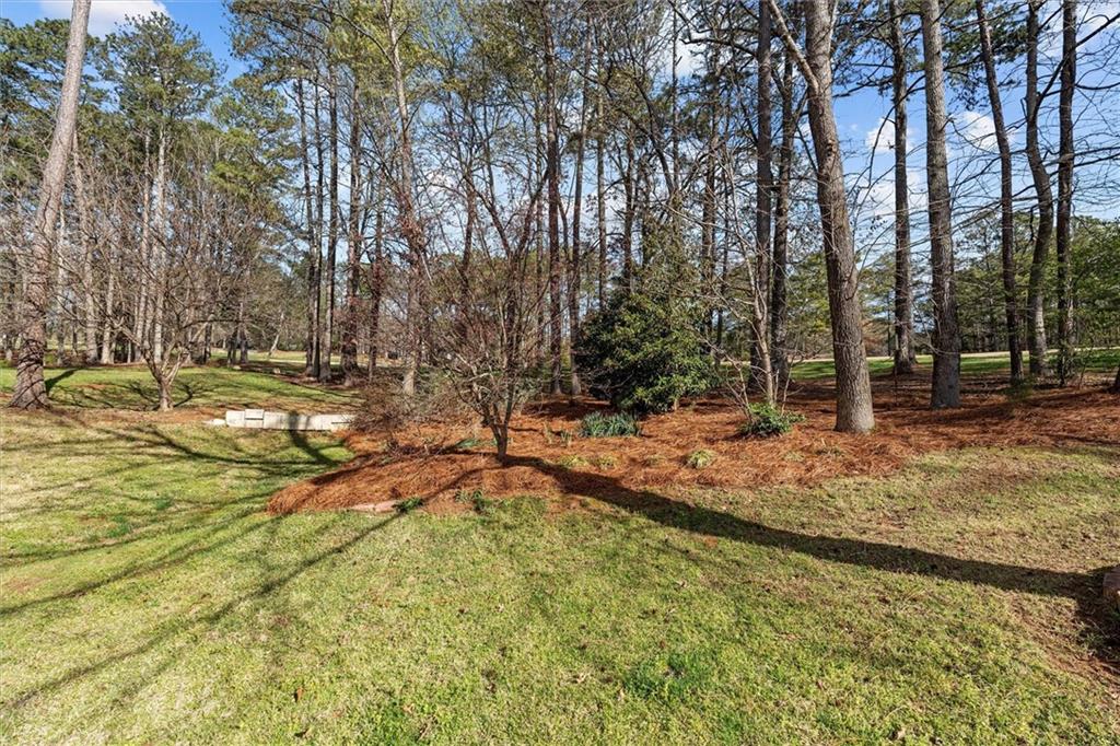 1030 Lakeview Parkway Villa Rica, GA 30180 - Photo 36 of 46 a view of a yard with trees