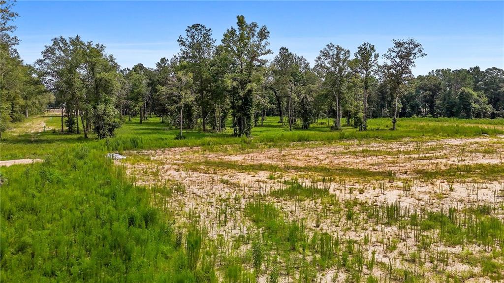 39520 Lee's Landing Road Ponchatoula, LA 70454 - Photo 2 of 14