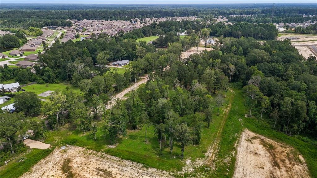 39520 Lee's Landing Road Ponchatoula, LA 70454 - Photo 8 of 14