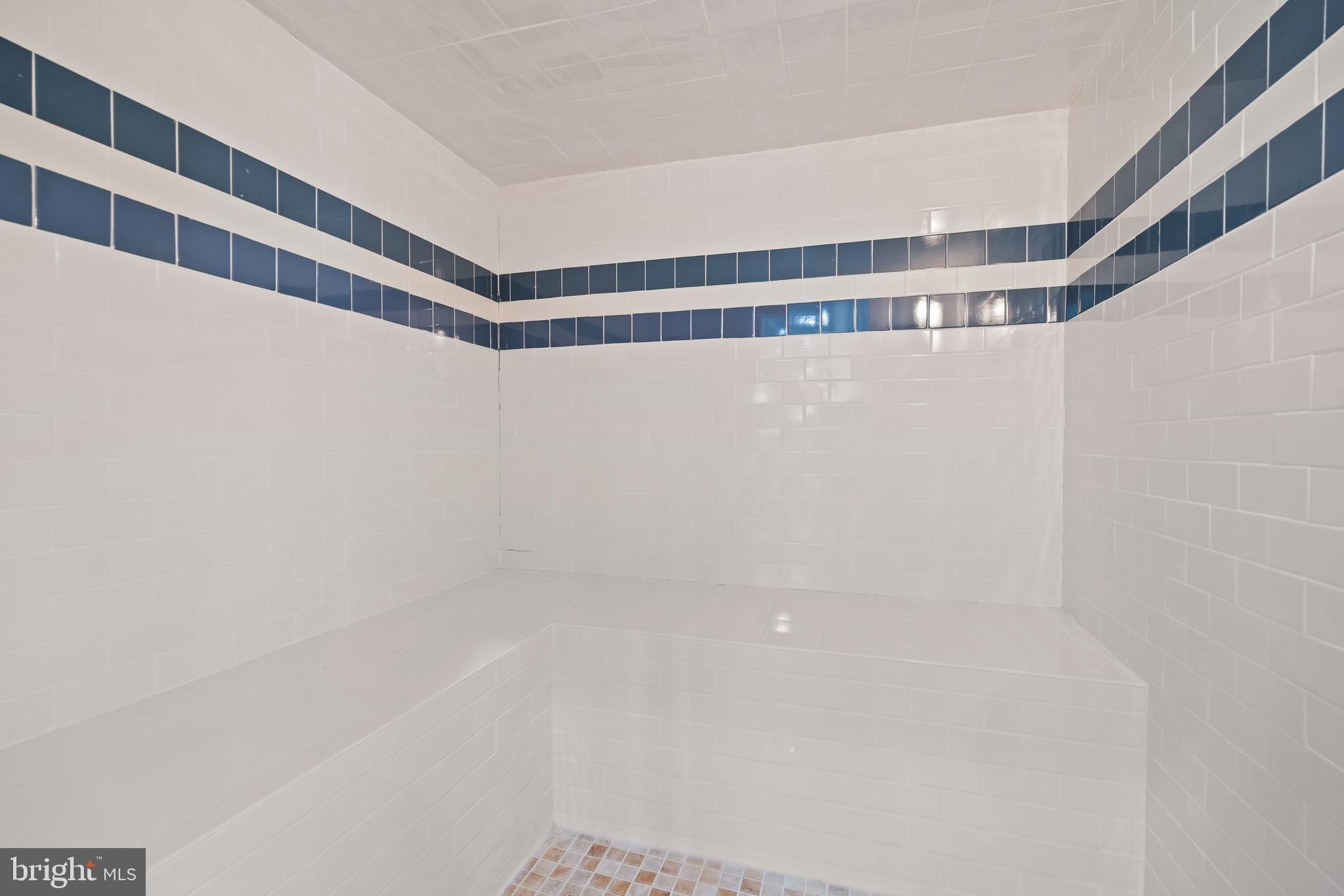8925 Brook Road McLean, VA 22102 - Photo 124 of 130 Steam Room/Separate Pool House