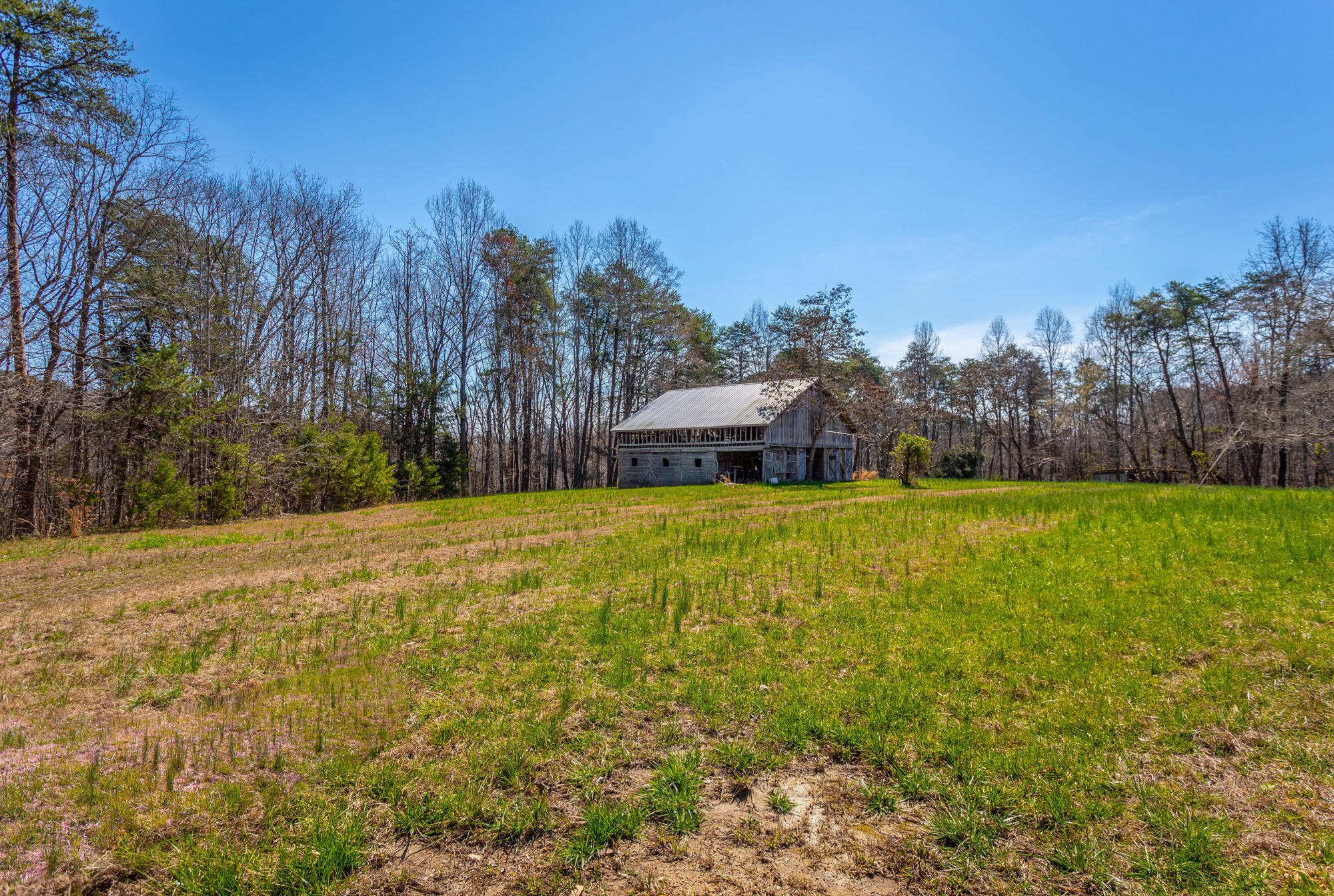 705 Dripping Springs Road LaFayette, GA 30728 - Photo 69 of 97 Barn