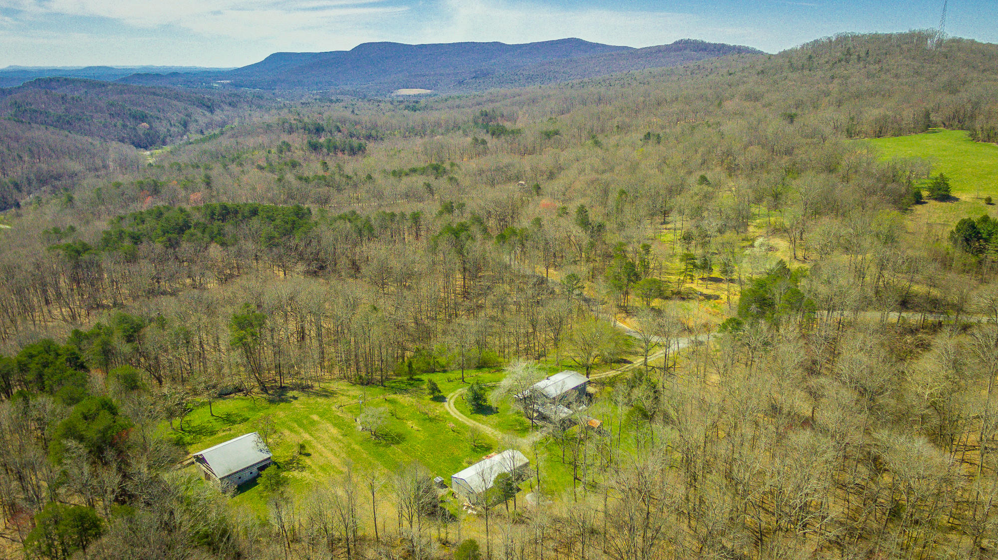 705 Dripping Springs Road LaFayette, GA 30728 - Photo 83 of 97 705 Dripping Springs Rd. HD-115