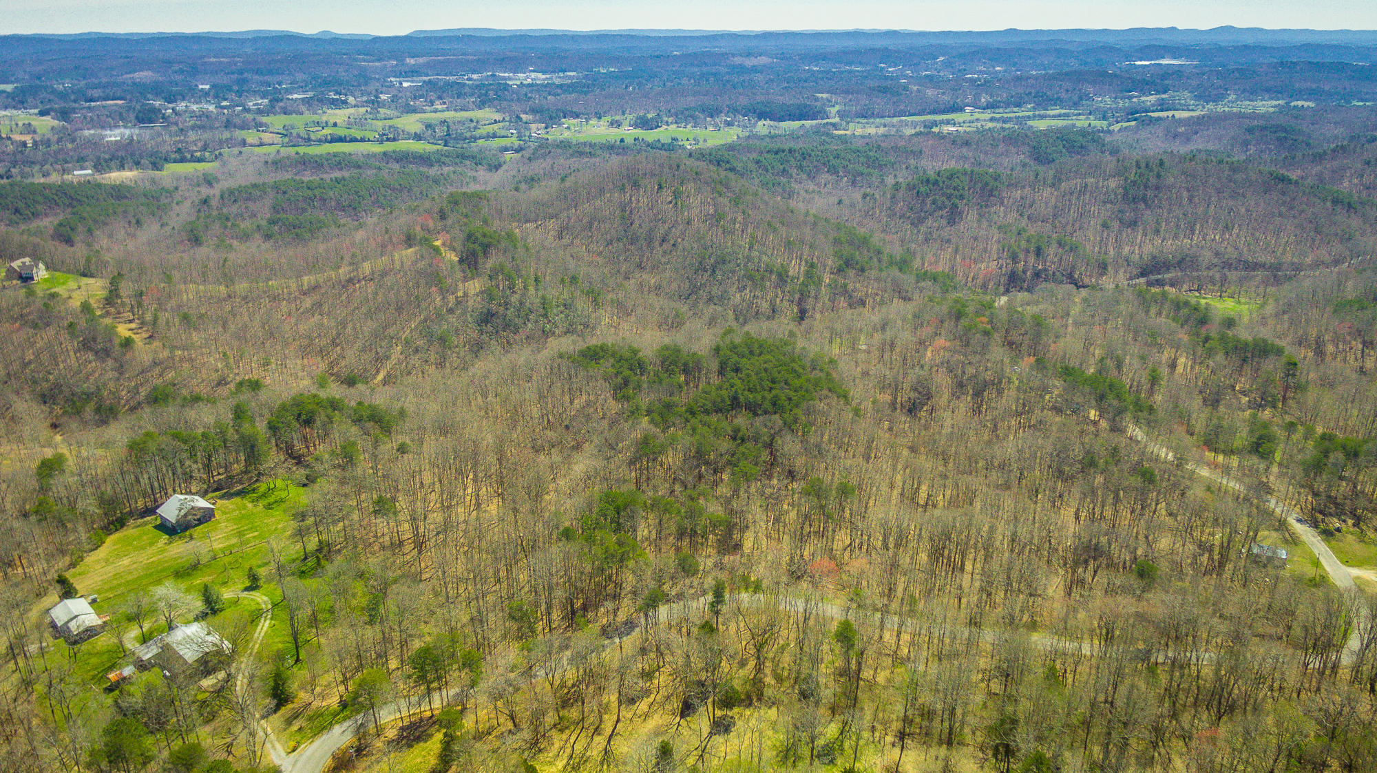705 Dripping Springs Road LaFayette, GA 30728 - Photo 86 of 97 705 Dripping Springs Rd. HD-119