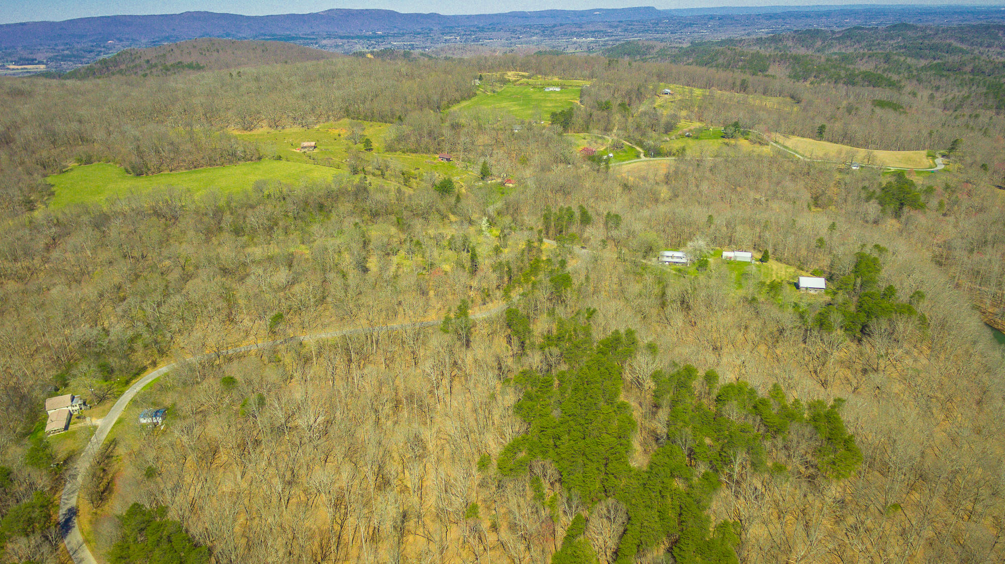 705 Dripping Springs Road LaFayette, GA 30728 - Photo 89 of 97 705 Dripping Springs Rd. HD-122