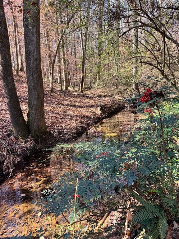 0 Miller Street Lithia Springs, GA 30122 - Photo 11 of 34 a backyard of a house with lots of green space