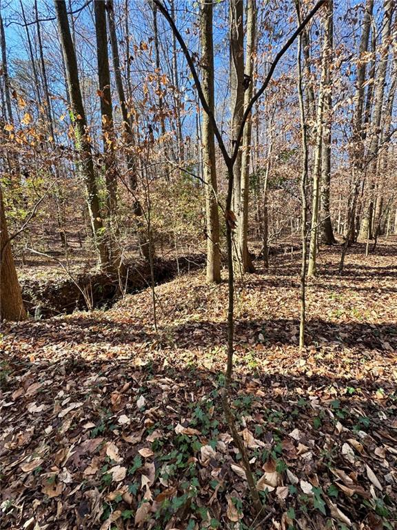 0 Miller Street Lithia Springs, GA 30122 - Photo 12 of 34 a backyard of a house with lots of green space