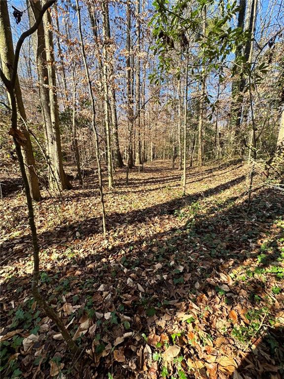 0 Miller Street Lithia Springs, GA 30122 - Photo 13 of 34 a view of a backyard of the house