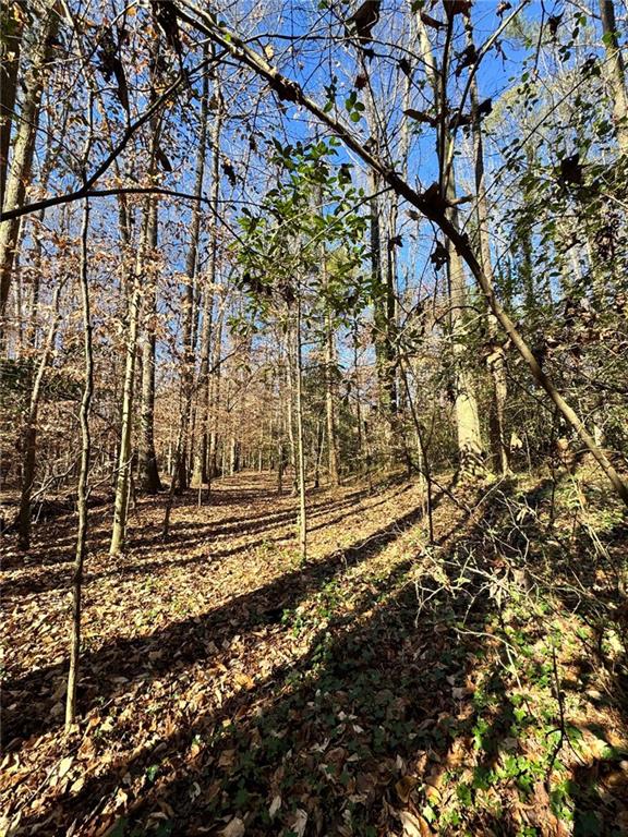 0 Miller Street Lithia Springs, GA 30122 - Photo 14 of 34 a view of a yard with wooden fence