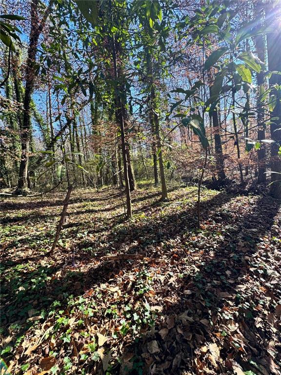 0 Miller Street Lithia Springs, GA 30122 - Photo 15 of 34 a view of backyard with green space