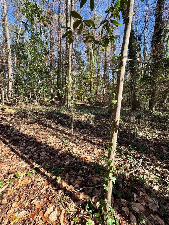 0 Miller Street Lithia Springs, GA 30122 - Photo 16 of 34 a view of a tree