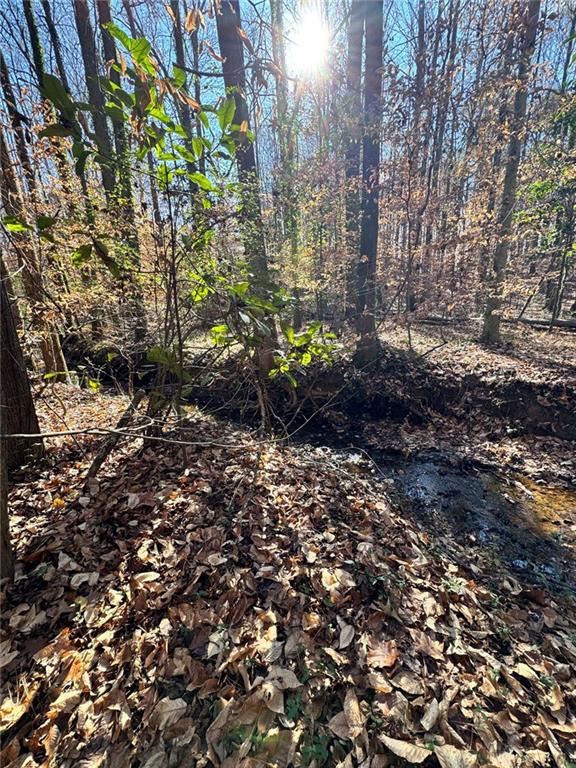 0 Miller Street Lithia Springs, GA 30122 - Photo 17 of 34