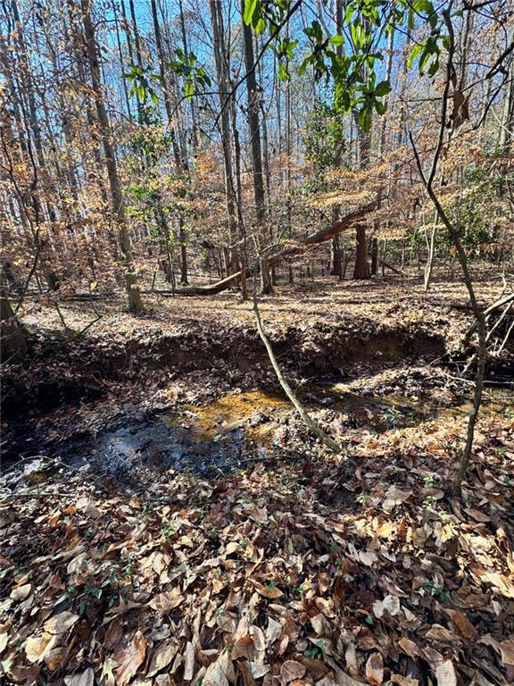 0 Miller Street Lithia Springs, GA 30122 - Photo 18 of 34 a backyard of a house with lots of green space