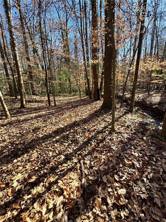 0 Miller Street Lithia Springs, GA 30122 - Photo 19 of 34 a view of a forest with trees