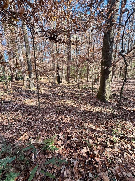 0 Miller Street Lithia Springs, GA 30122 - Photo 20 of 34 a view of a yard with large trees