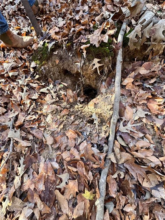 0 Miller Street Lithia Springs, GA 30122 - Photo 21 of 34 a view of a tree