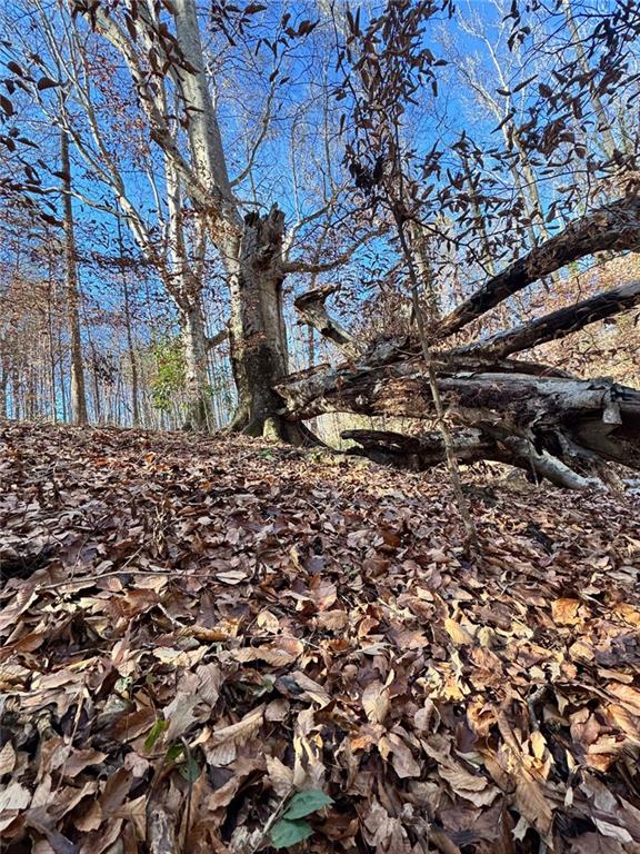 0 Miller Street Lithia Springs, GA 30122 - Photo 22 of 34 a view of a yard with a tree