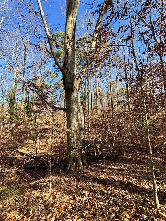0 Miller Street Lithia Springs, GA 30122 - Photo 23 of 34 a view of a yard with plants and trees