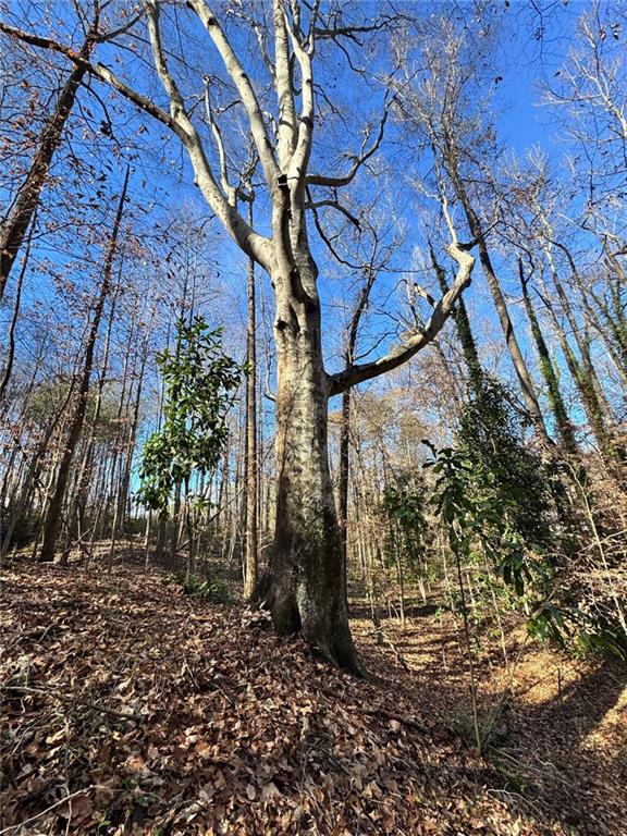0 Miller Street Lithia Springs, GA 30122 - Photo 24 of 34 a view of sign board