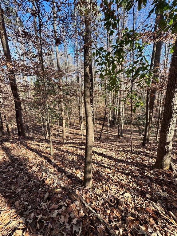 0 Miller Street Lithia Springs, GA 30122 - Photo 25 of 34 a view of empty room with large trees