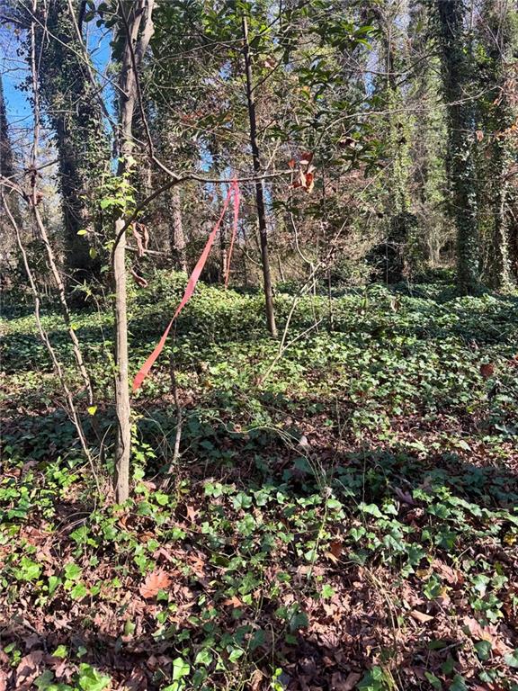 0 Miller Street Lithia Springs, GA 30122 - Photo 26 of 34 a backyard of a house with lots of green space