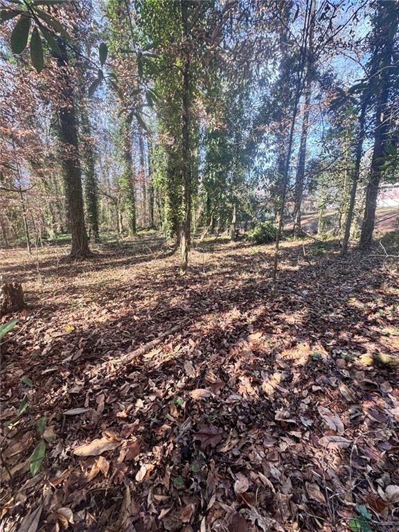 0 Miller Street Lithia Springs, GA 30122 - Photo 27 of 34 a backyard of a house with lots of green space