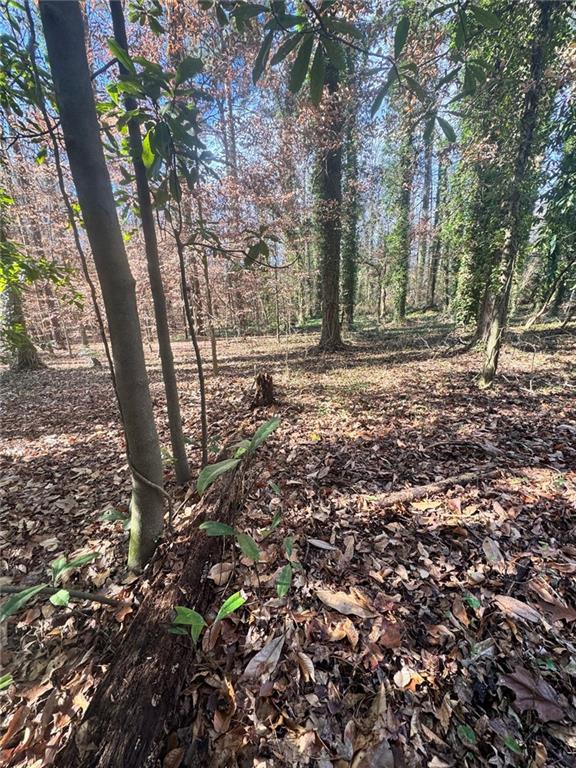 0 Miller Street Lithia Springs, GA 30122 - Photo 28 of 34 a backyard of a house with lots of green space