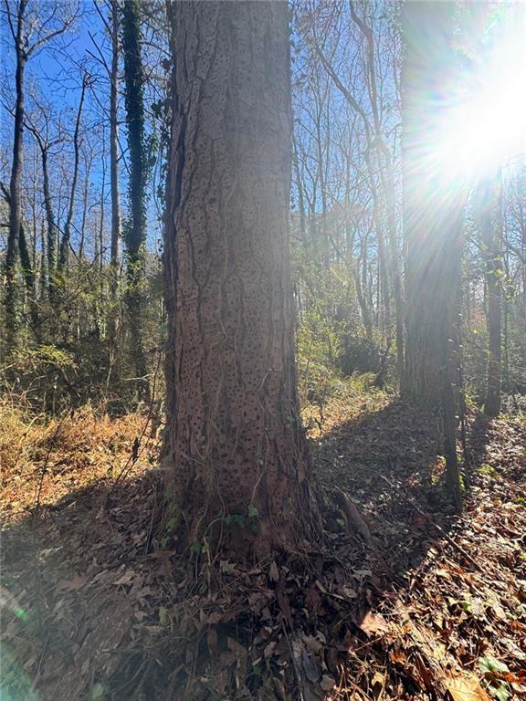 0 Miller Street Lithia Springs, GA 30122 - Photo 29 of 34 a view of a yard with plants and wooden fence