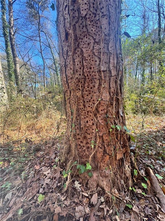 0 Miller Street Lithia Springs, GA 30122 - Photo 30 of 34 a backyard of a house with lots of green space