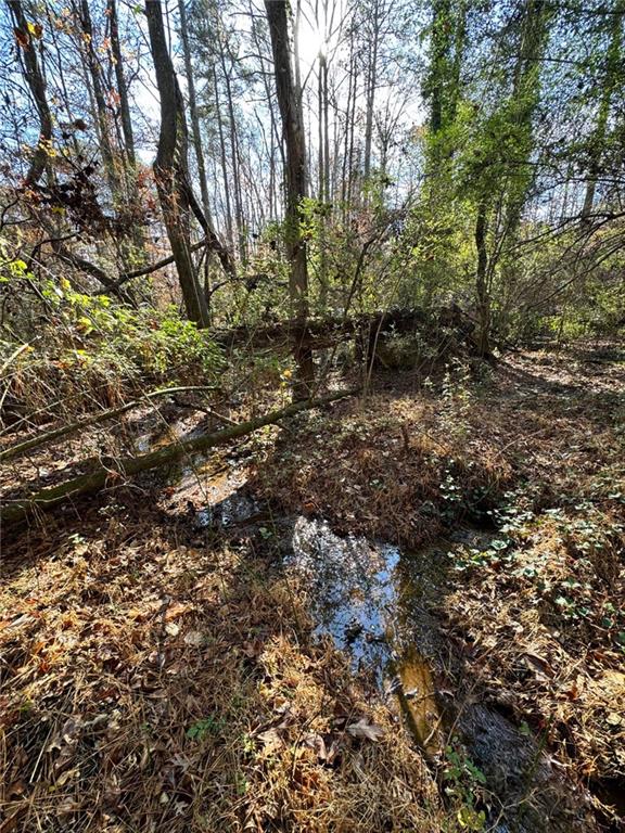 0 Miller Street Lithia Springs, GA 30122 - Photo 4 of 34 a view of a forest with trees
