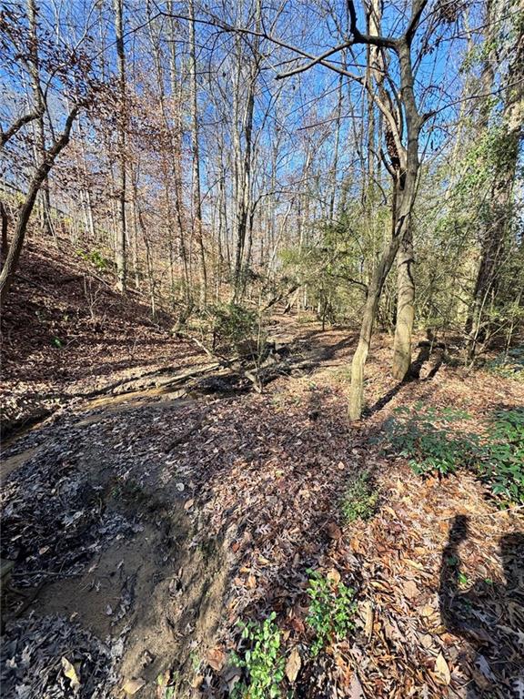 0 Miller Street Lithia Springs, GA 30122 - Photo 6 of 34 a view of a yard with plants and trees