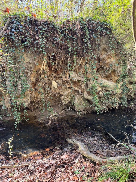 0 Miller Street Lithia Springs, GA 30122 - Photo 7 of 34 a view of a yard with plants and large trees