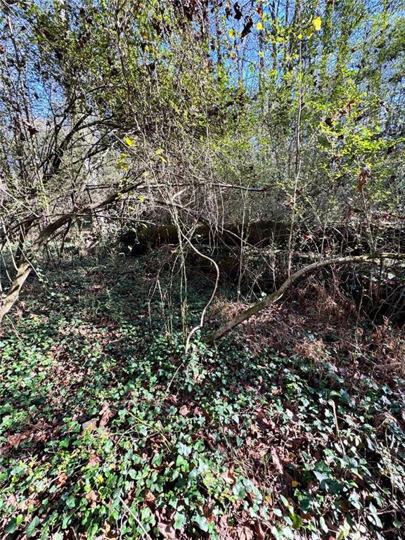 0 Miller Street Lithia Springs, GA 30122 - Photo 9 of 34 a backyard of a house with lots of green space