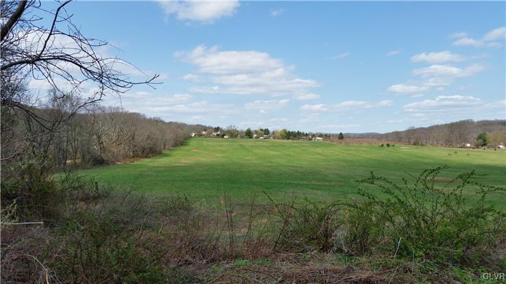 a view of a grassy field with trees