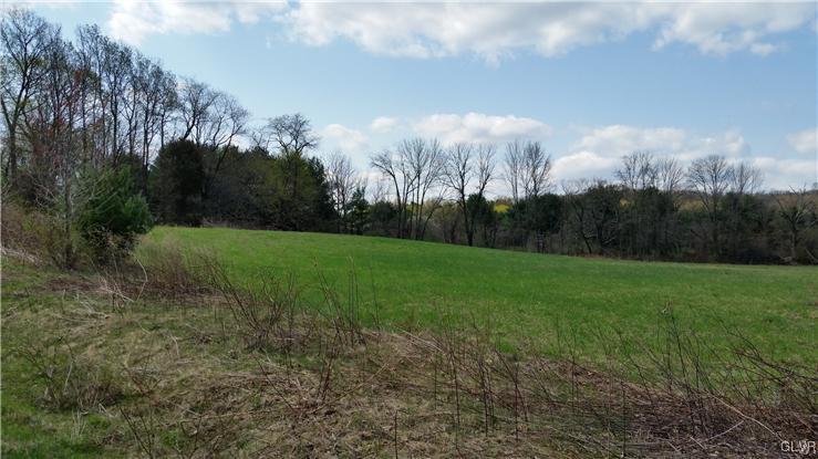0 Moyer Road Hellertown, PA 18055 - Photo 3 of 3 a view of a garden with large trees