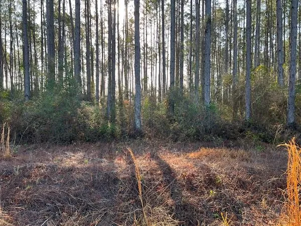 $32,000 | 12 Douglas Landing Road, Wewahitchka, FL 32465