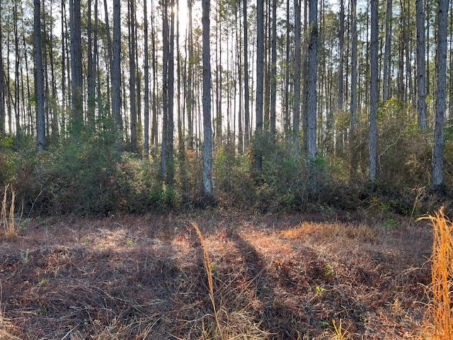 12 Douglas Landing Road Wewahitchka, FL 32465 - Photo 1 of 8