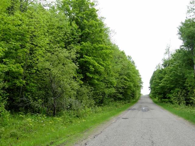 40-acres Cole Road Crandon, WI 54520 - Photo 5 of 10 Gallery Image 5
