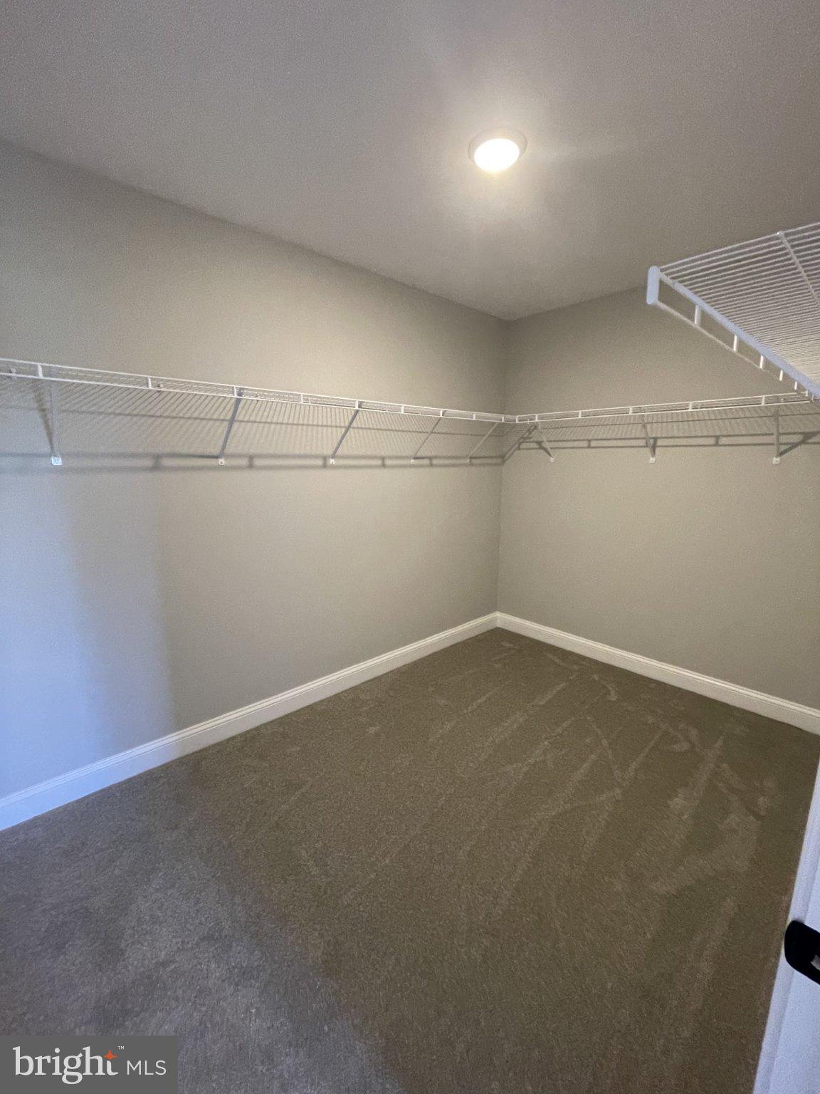 510 Talbot Road Stevensville, MD 21666 - Photo 28 of 31 Primary walk in closet - very spacious!