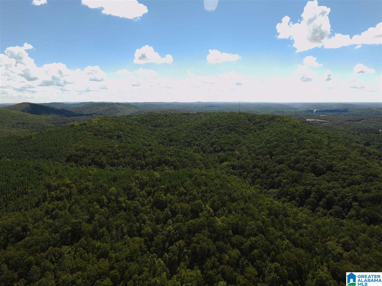 5735 Miles Spring Road Pinson, AL 35126 - Photo 1 of 14