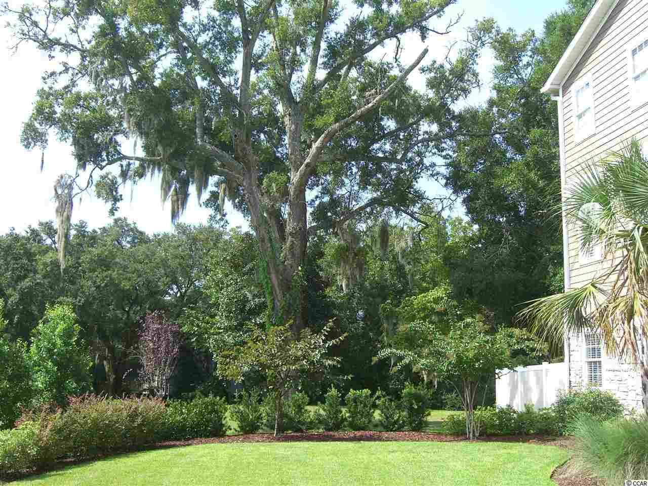 4336 Highway 17 Business, Unit 103 Murrells Inlet, SC 29576 - Photo 22 of 24 Gallery Image 22