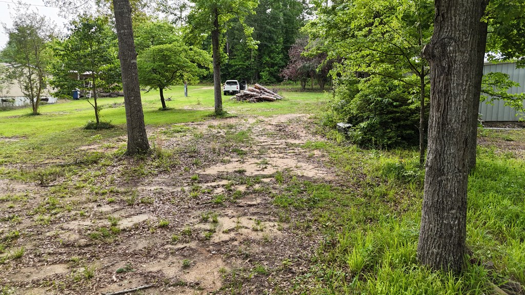 0 Hudspeth Drive Abbeville, AL 36310 - Photo 4 of 15