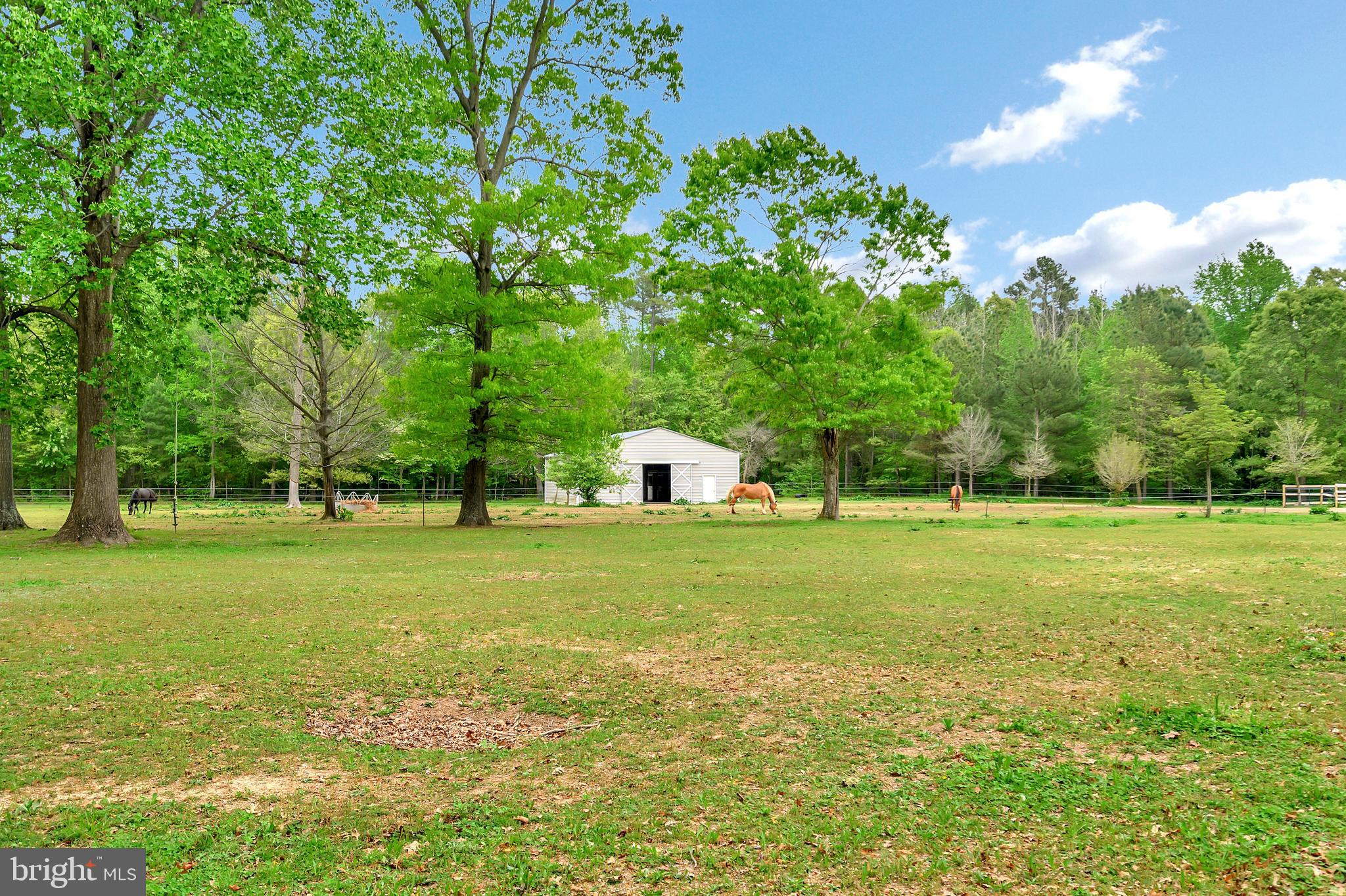 14044 Round Hill Road King George, VA 22485 - Photo 13 of 71 Gallery Image 13