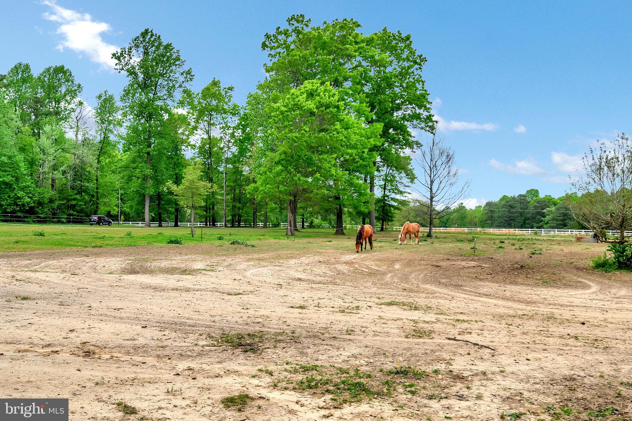 14044 Round Hill Road King George, VA 22485 - Photo 21 of 71 Gallery Image 21